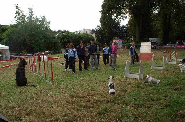 foire-haricots 2011-09-17et18
